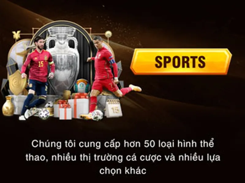Cá cược Thể Thao 789win